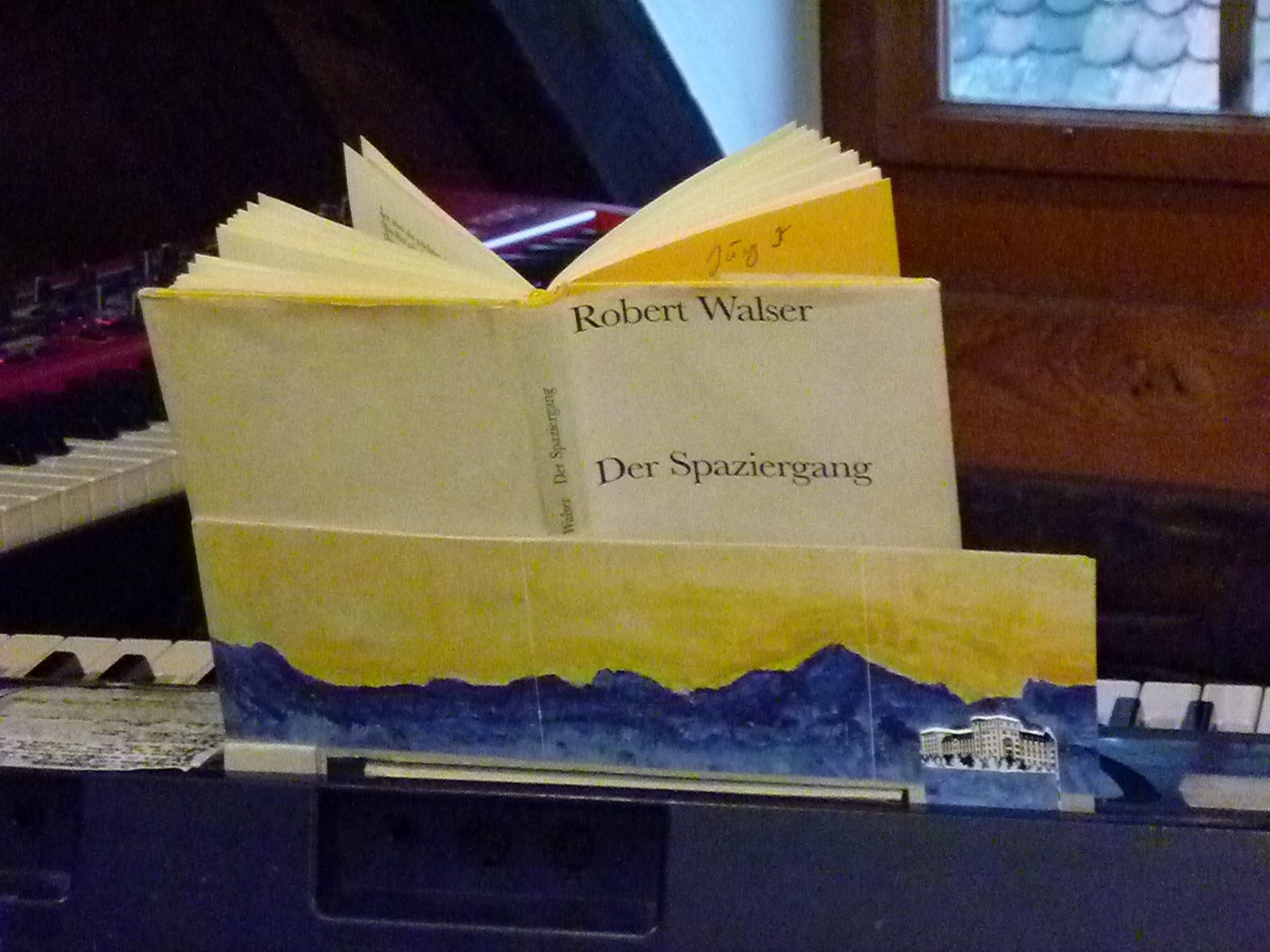 Kienberger Jaeggi Der Spaziergang Buch BW